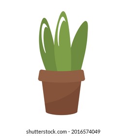Una planta verde es una flor en una olla. Ilustración vectorial aislada en un fondo blanco. Clipart de diseño, decoración