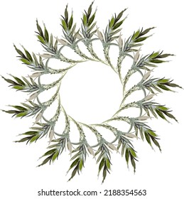 Green plant frame isolated on a white background for invitation cards or textiles. Floral wreath for banners, interior solutions, decoration, prints, fashion trends, fabric products, ceramics, etc.