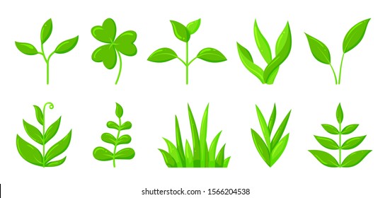 Green plant, grass, sprout flat cartoon icons set. Organic young seedling, growing sapling nature symbol. Spring, summer garden, agriculture, ecology sign. Isolated on white vector illustration