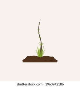 Green plant in the ground. The development, germination of one young sprout with a leaf, seedling in the land, soil. The concept of the of nature, ecology and the environment. Vector illustration.