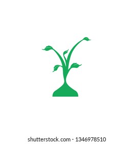A green plant growing.