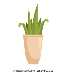 Green plant growing in a beige pot with long leaves, perfect for home decoration
