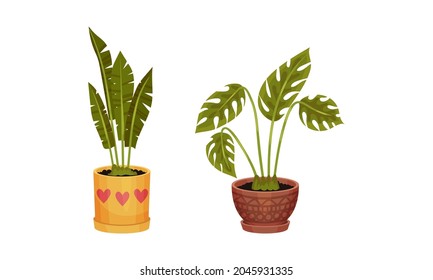 Green Plant Growing in Ceramic Pot as Home Interior and Hygge Symbol Vector Set