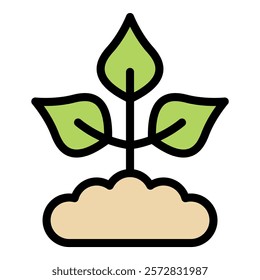 Green plant growing from the ground, representing new beginnings, growth, and environmental awareness