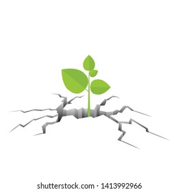 Green Plant Growing Out From The Cracked Ground Vector Illustration