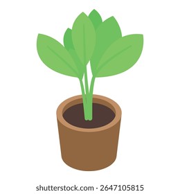 Green plant growing in a pot, representing growth, nature, and freshness