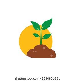 Green plant growth in brown dirt, illuminated by sun. Suitable for environmental, growth, nature concepts in design, educational materials, and presentations.