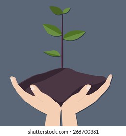 green plant in hand / growing Business / flat design / vector / illustration
