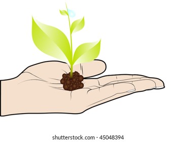 planta verde en mano humana