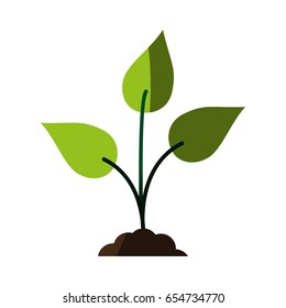 green plant icon image 