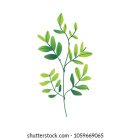 green plant icon. Wild meadow field grass garden spring easter, women day romantic holiday, wedding invitation card decoration summer floral Illustration white background