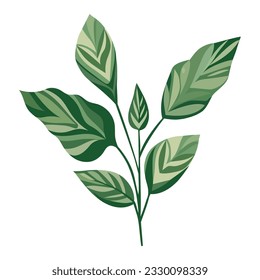 Green plant illustration over white