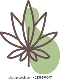 Green plant, illustration, vector on a white background.