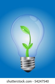 Green Plant Inside a Light