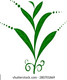  green plant isolated