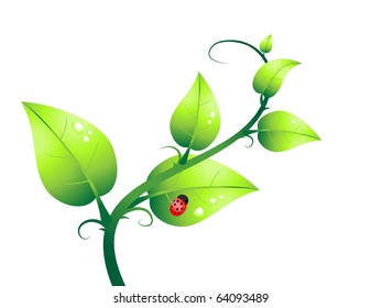 green plant and ladybug vector