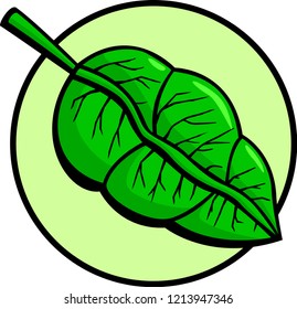 hoja de planta verde