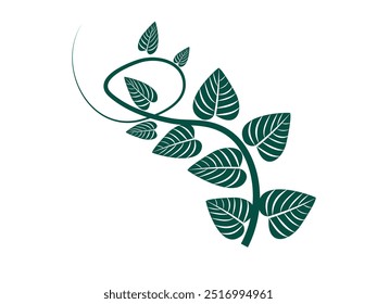 Planta verde, Folha Adobe Illustrator Árvore verde