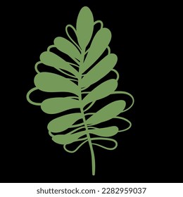 Green plant leaf. Vector illustration.