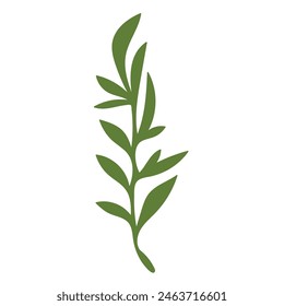 Hoja de planta verde. Ilustración vectorial. 