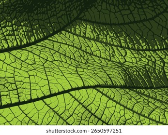 Ilustración vectorial de hoja de planta verde sobre fondo blanco liso, mostrando frescura natural, belleza botánica y textura orgánica para proyectos de diseño ecológicos, minimalistas y limpios.