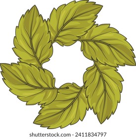 green plant leaf vector round frame without background