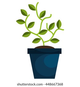 Green plant with leaves isolated flat icon, vector illustration.