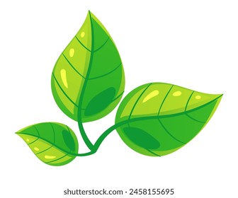 Green plant leaves isolated set. Vector graphic design element illustration