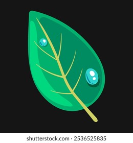 Green plant leaves isolated set. Vector graphic design element illustration