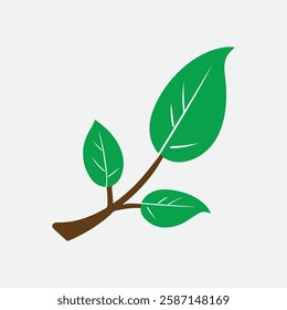 a green plant with leaves on it