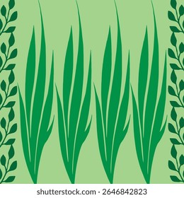 A green plant with green leaves on a white background