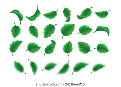 Green plant leaves realistic vector illustration collection. Fresh foliage variation for design. Natural 3d elements rows on white background