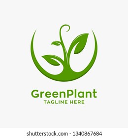 Green plant logo design
