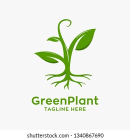 Green plant logo design