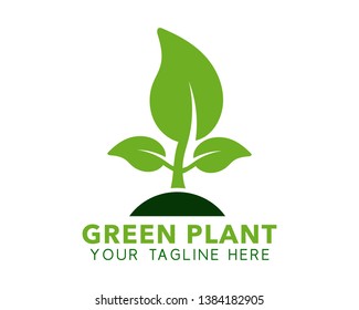 Green Plant logo. Editable vector EPS.