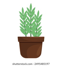 Green plant with long leaves growing in a brown pot, simple home decoration