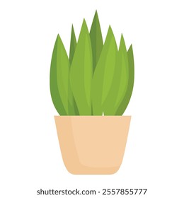 Green plant with long leaves growing in a beige pot, gardening and decoration concept