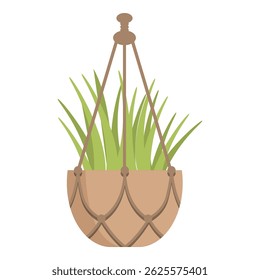 Green plant with long leaves growing in a hanging pot made of macrame for home decoration