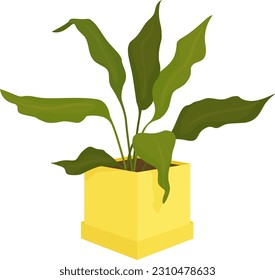 green plant with long leaves in a yellow pot