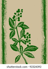 green plant on grunge background