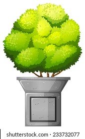 A green plant on a white background 