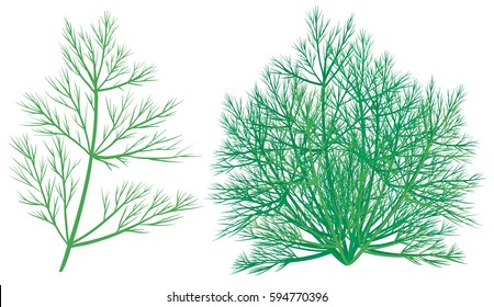 Green plant on white background illustration