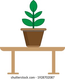 A green plant in a planting tub on a table with a white background