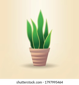 planta verde en una olla