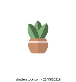
green plant in a pot