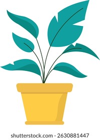 Planta verde em um vaso