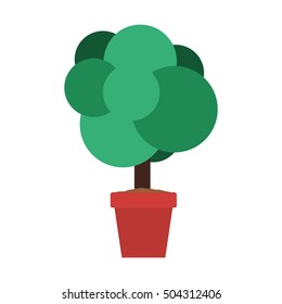 green plant in a pot