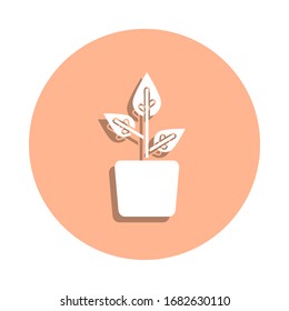 Green, plant, pot badge icon. Simple glyph, flat vector of ecology icons for ui and ux, website or mobile application