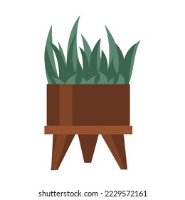 Green plant in pot cartoon vector. Potted decorative houseplant. Gardening, floral vector, isolated on white