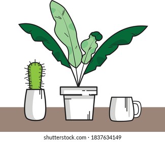 Green Plant in Pot and Cup
